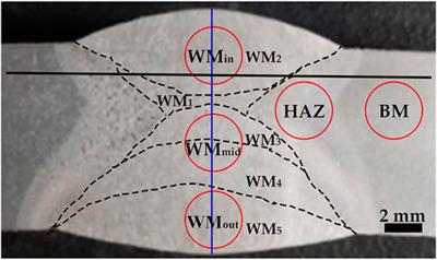 Effect of microstructure on the mechanical properties and corrosion resistance of a welded joint of 620-grade marine steel